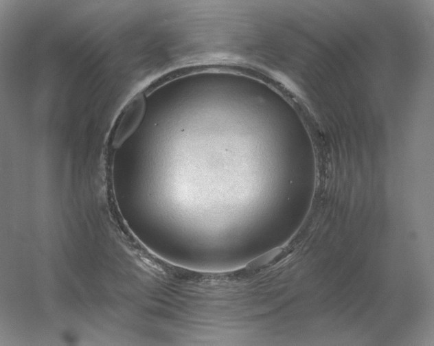 X0000053091364200507251553