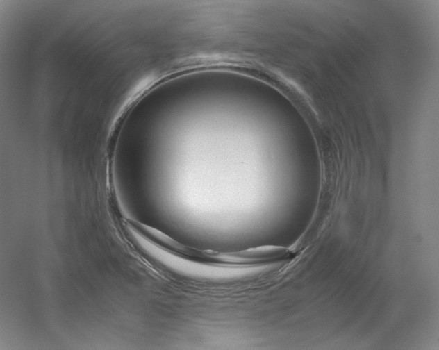 X0000053091365200507251553