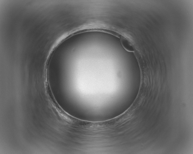 X0000053091366200507251553