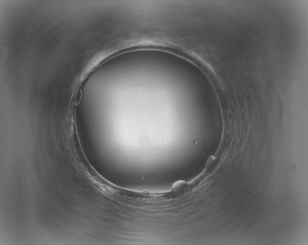 X0000053091367200507251553