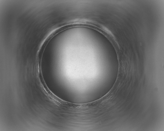 X0000053091368200507251553