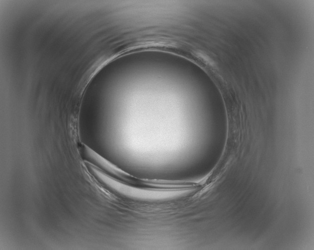 X0000053091369200507251553