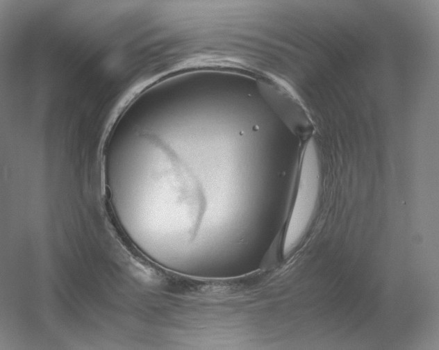 X0000053091371200507251553