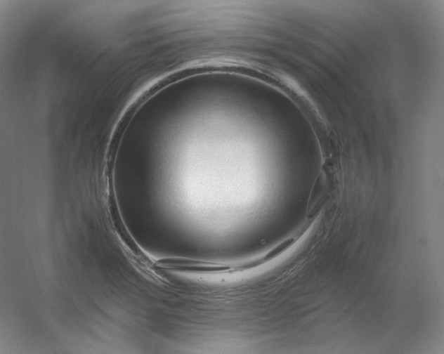 X0000053091372200507251553