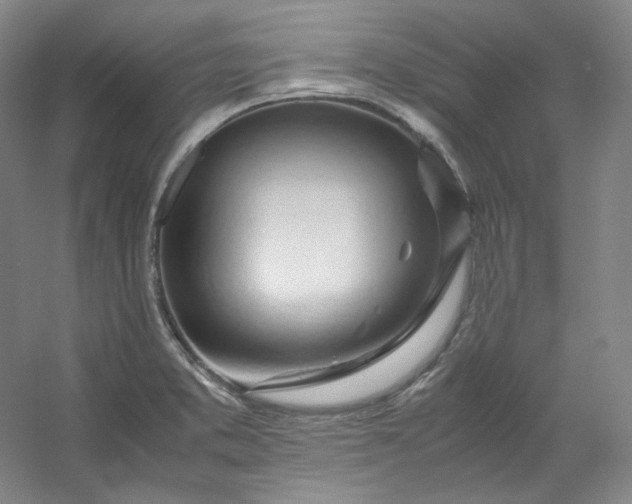 X0000053091373200507251553