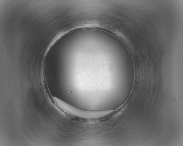 X0000053091374200507251553