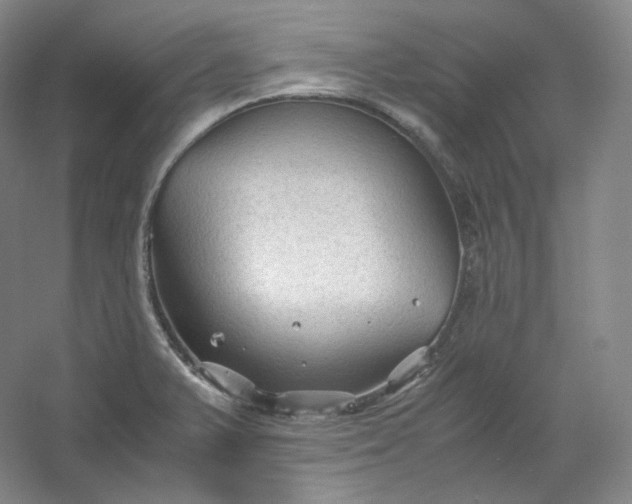 X0000053091375200507251553