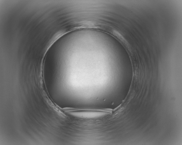 X0000053091378200507251553