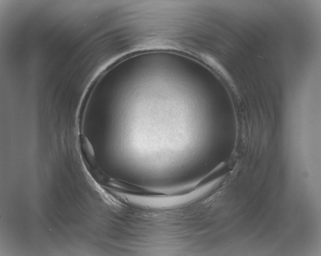 X0000053091380200507251553