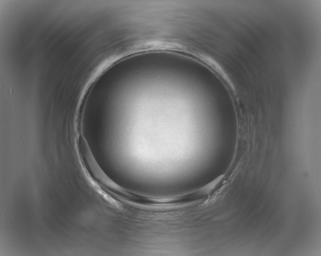 X0000053091381200507251553