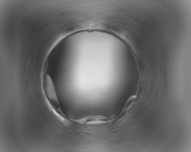 X0000053091383200507251553