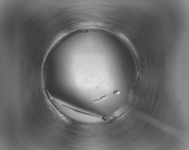 X0000053091384200507251553