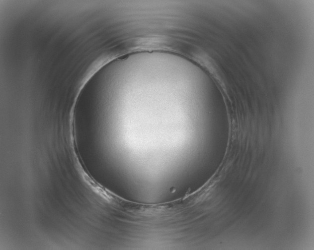 X0000053091386200507251553