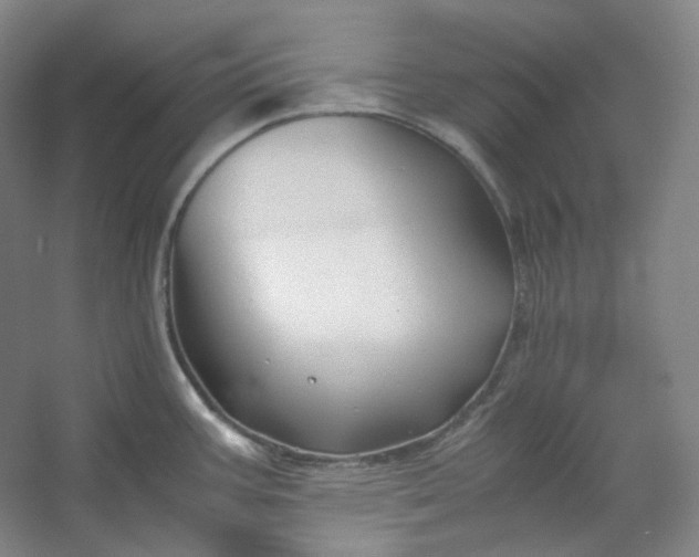 X0000053091387200507251553