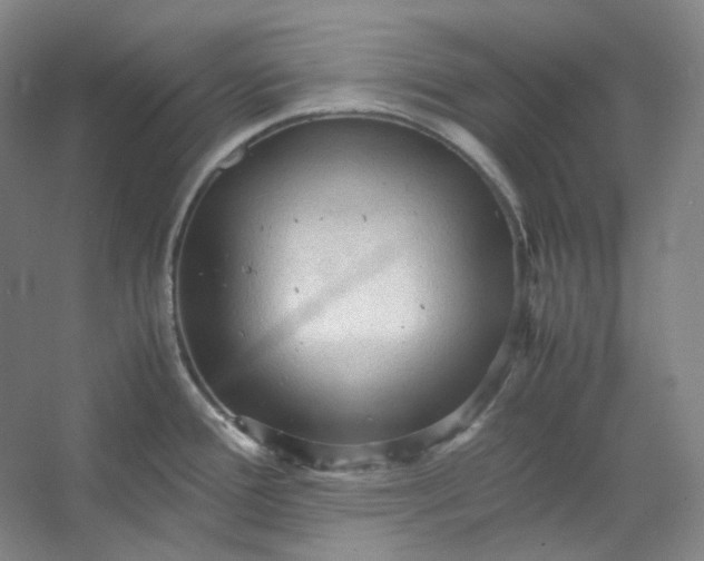 X0000053091388200507251553