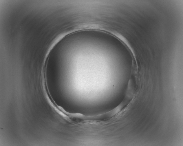 X0000053091389200507251553