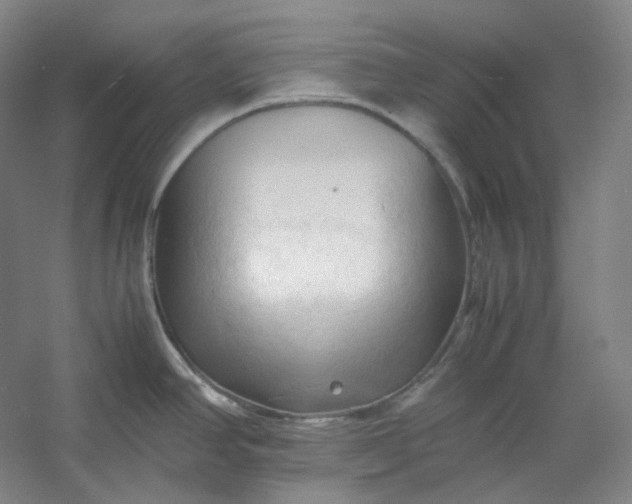 X0000053091390200507251553