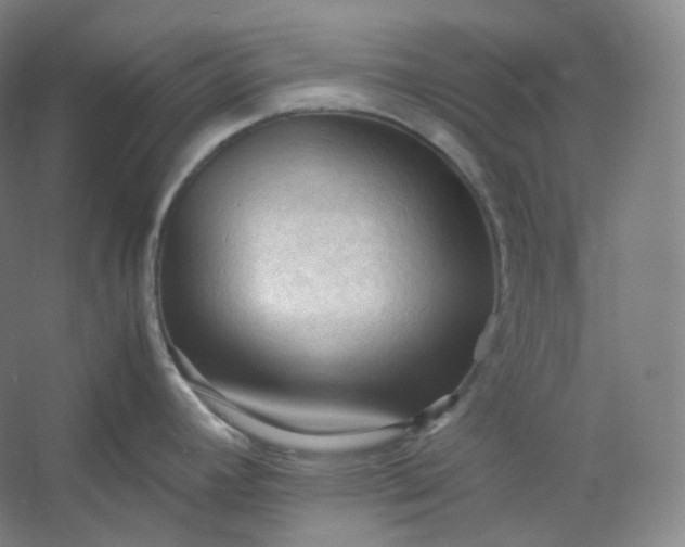 X0000053091392200507251553