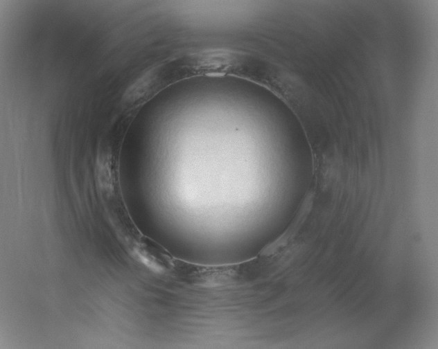 X0000053091394200507251552