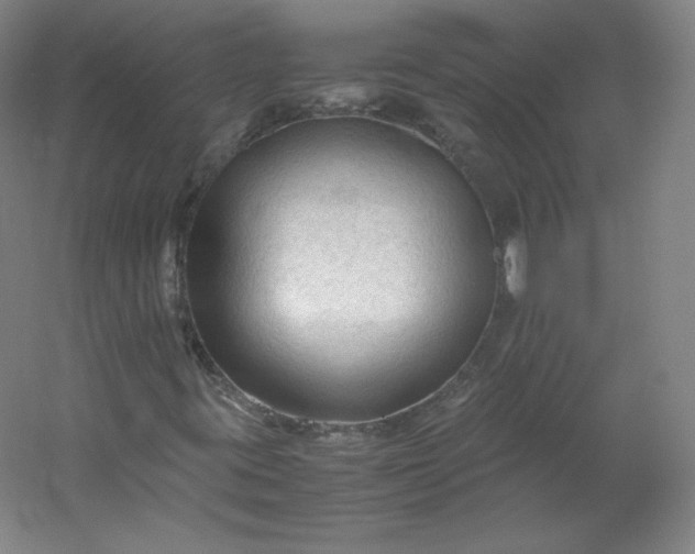 X0000053091395200507251552