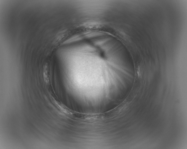 X0000053091396200507251552