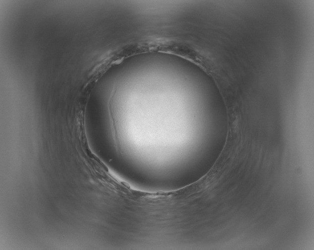 X0000053091397200507251552