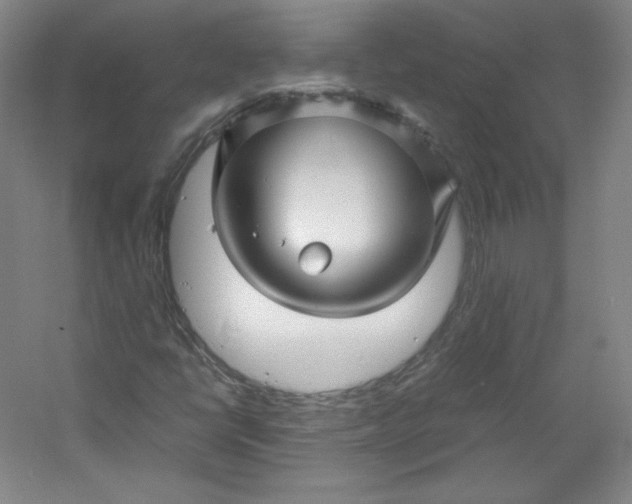 X0000053091398200507251552