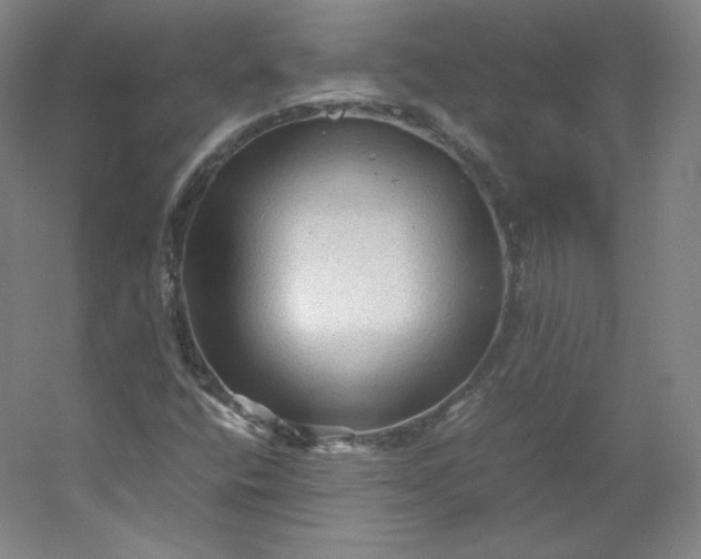 X0000053091400200507251552