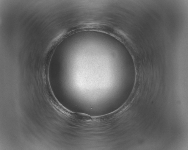 X0000053091403200507251552