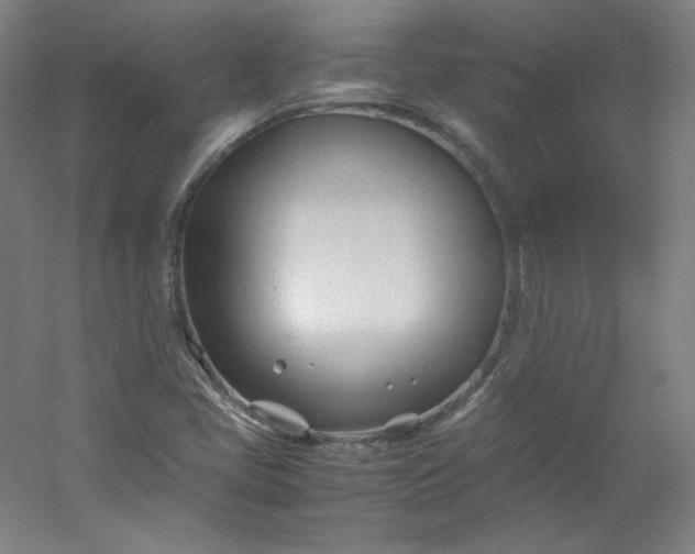 X0000053091405200507251552