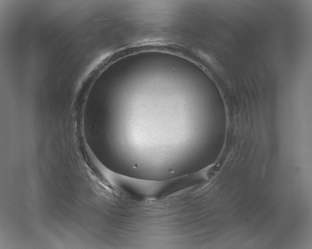 X0000053091406200507251552