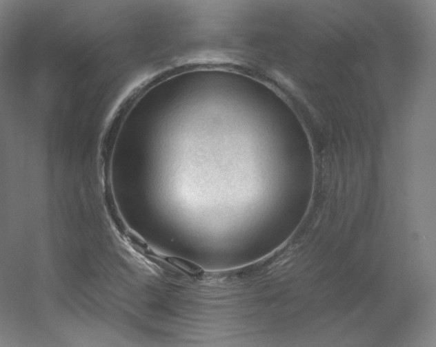 X0000053091408200507251552