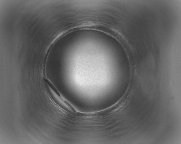 X0000053091409200507251552