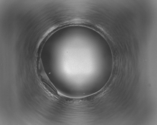 X0000053091410200507251552