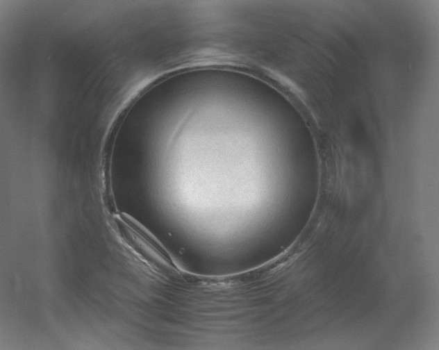 X0000053091415200507251552