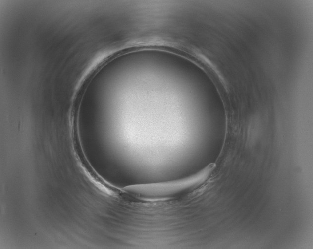 X0000053091416200507251553