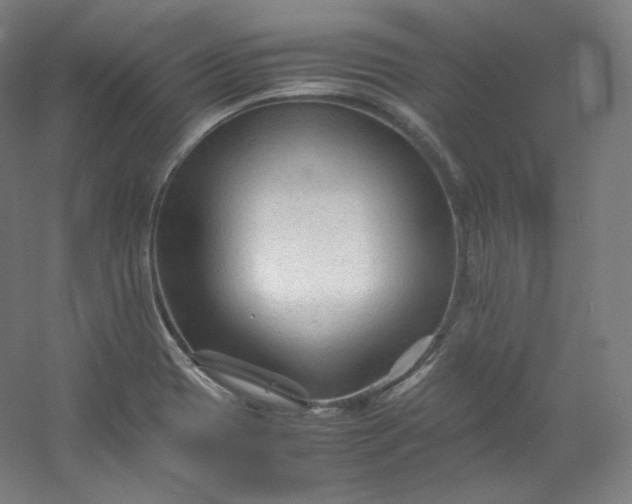 X0000053091417200507251553