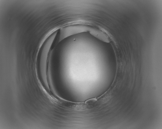 X0000053091418200507251553