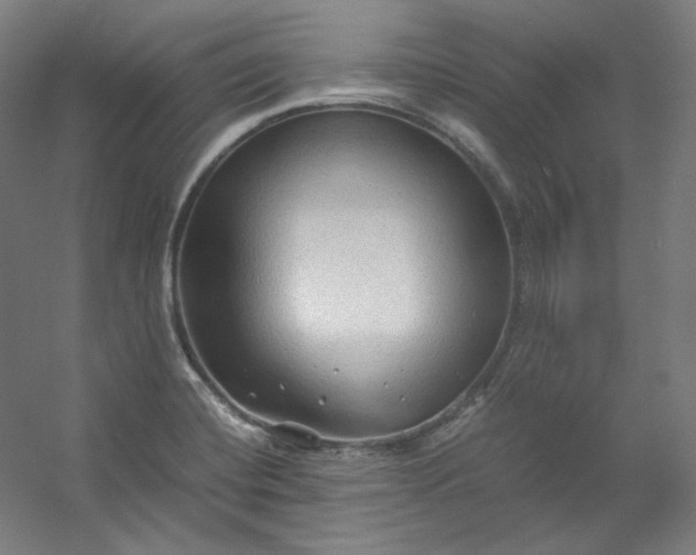 X0000053091420200507251553