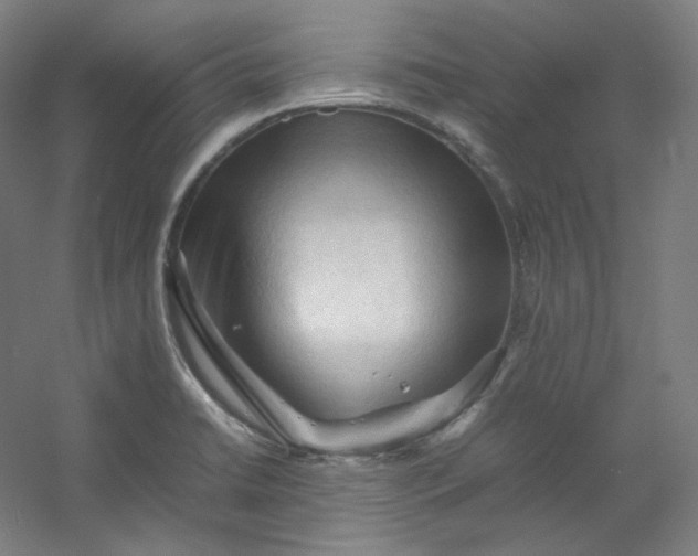 X0000053091422200507251553