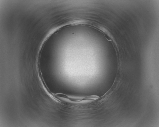 X0000053091429200507251553