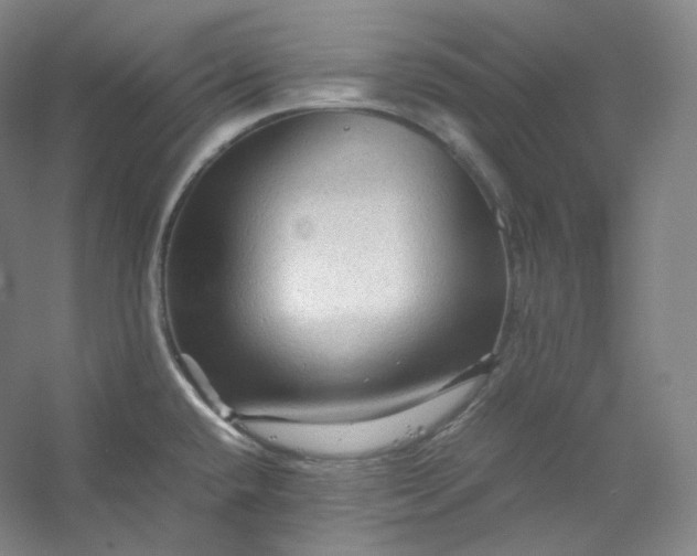 X0000053091432200507251553