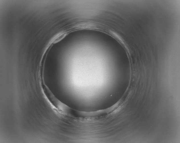 X0000053091434200507251553