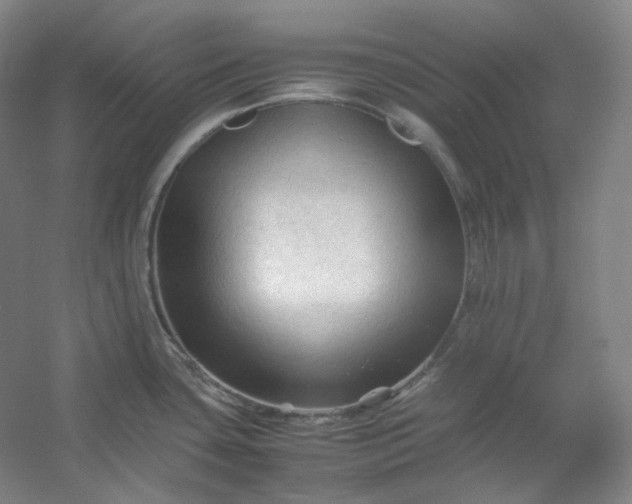 X0000053091435200507251553