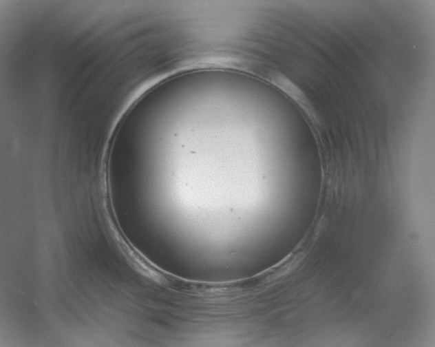 X0000053091436200507251553