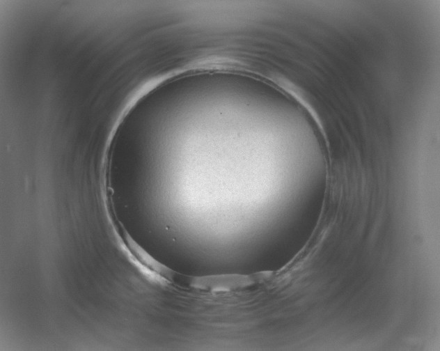 X0000053091437200507251553