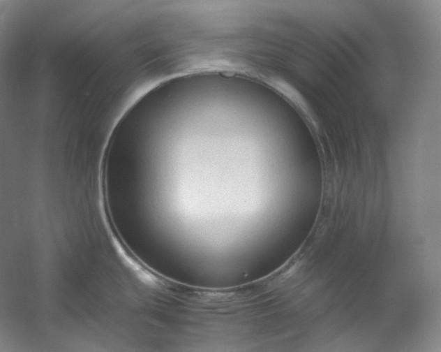 X0000053091439200507251553