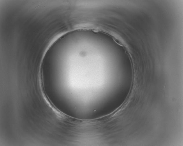 X0000053091440200507251553