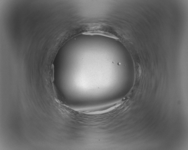 X0000053091441200507251552