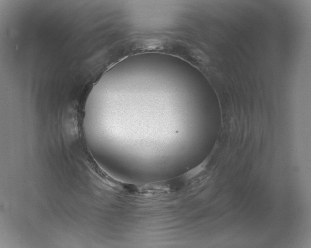 X0000053091442200507251552